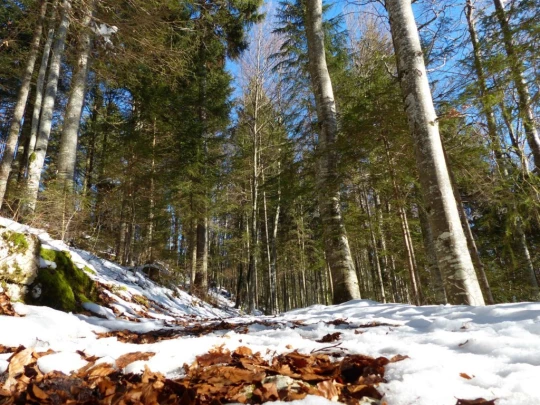 le-lieu-le-pont-l-abbaye-106