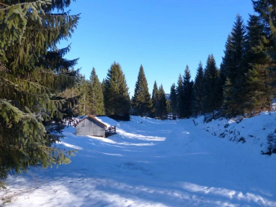 le-lieu-le-pont-l-abbaye-109