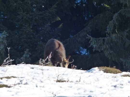 le-lieu-le-pont-l-abbaye-112
