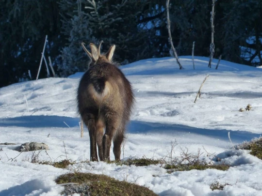 le-lieu-le-pont-l-abbaye-114