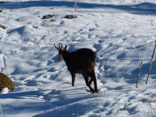 le-lieu-le-pont-l-abbaye-115