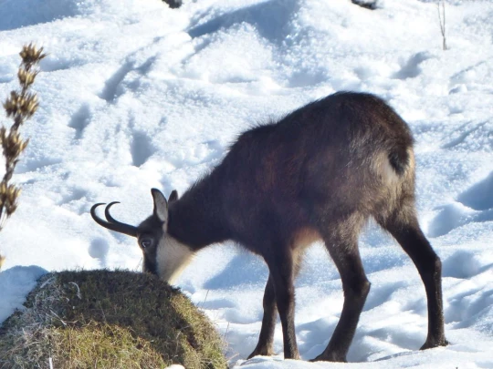 le-lieu-le-pont-l-abbaye-116