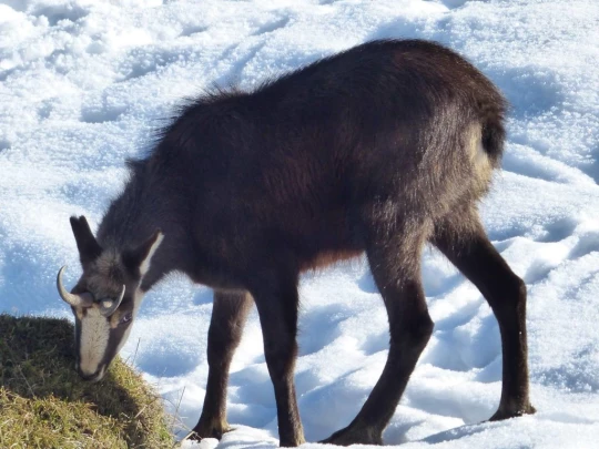 le-lieu-le-pont-l-abbaye-117
