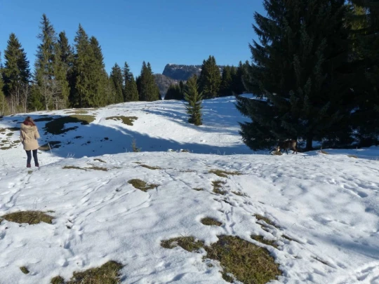 le-lieu-le-pont-l-abbaye-120