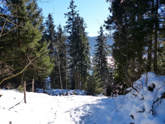 le-lieu-le-pont-l-abbaye-122