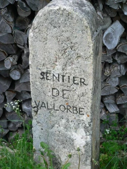 le-pont-dent-de-vaulion-vallorbe-117