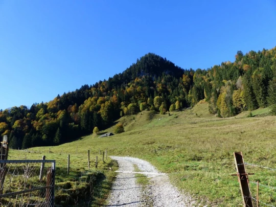 le-pralet-estavannens-107