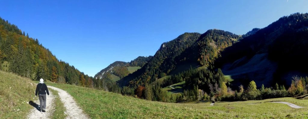 le-pralet-estavannens-109