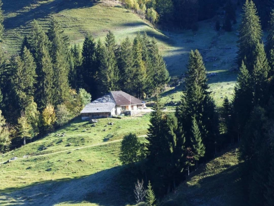 le-pralet-estavannens-110