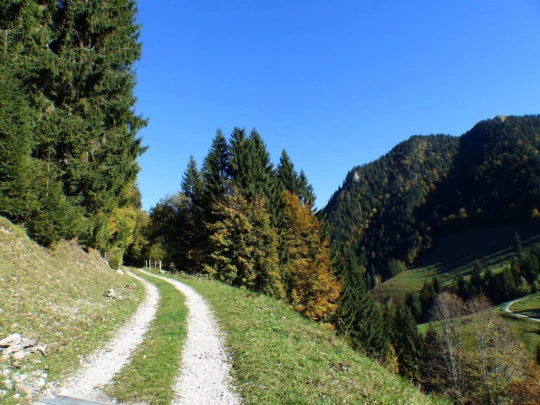 le-pralet-estavannens-111