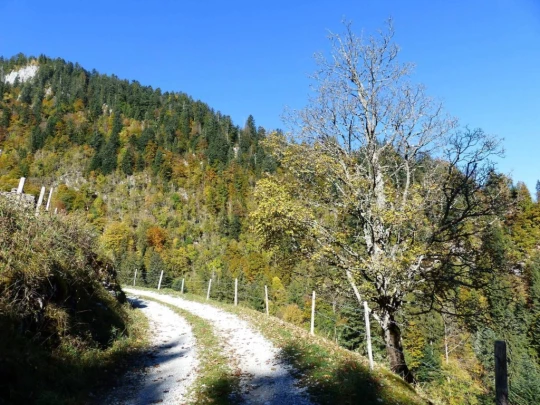 le-pralet-estavannens-113