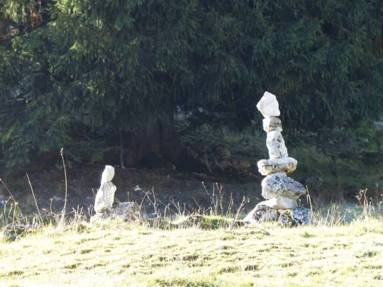 le-pralet-estavannens-125