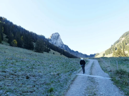 le-pralet-estavannens-128