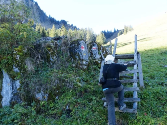 le-pralet-estavannens-132