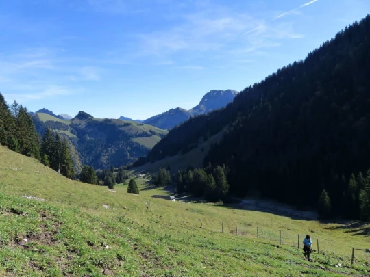 le-pralet-estavannens-135