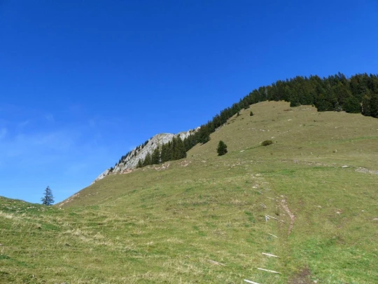 le-pralet-estavannens-137