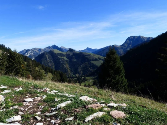 le-pralet-estavannens-142