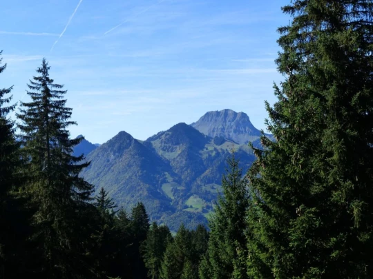 le-pralet-estavannens-155