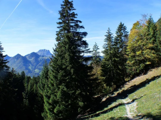 le-pralet-estavannens-156