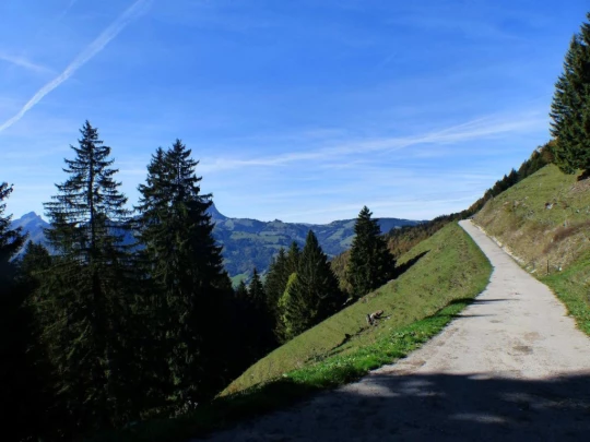 le-pralet-estavannens-159