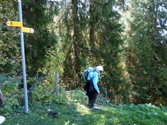 le-pralet-estavannens-160