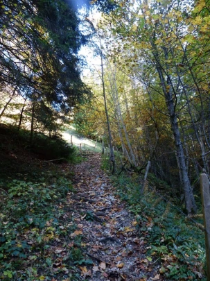 le-pralet-estavannens-164