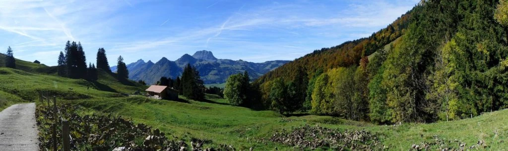 le-pralet-estavannens-166