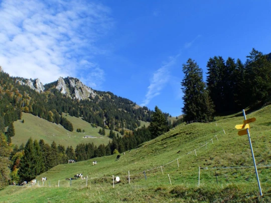 le-pralet-estavannens-170