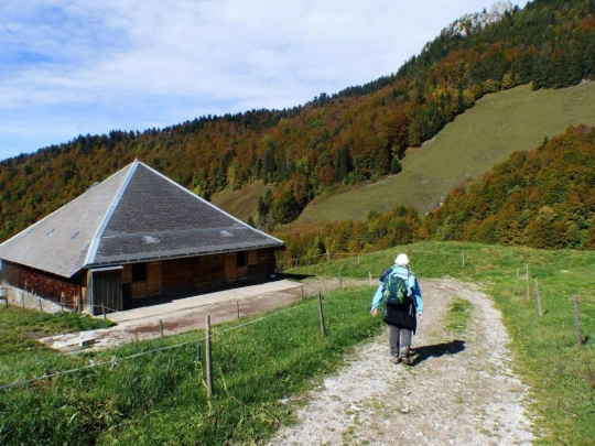 le-pralet-estavannens-171