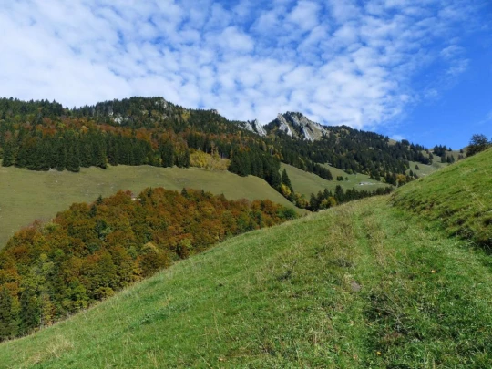 le-pralet-estavannens-173