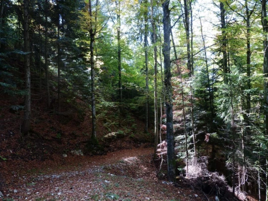 le-pralet-estavannens-174