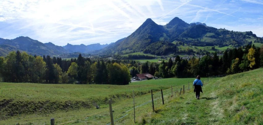 le-pralet-estavannens-187