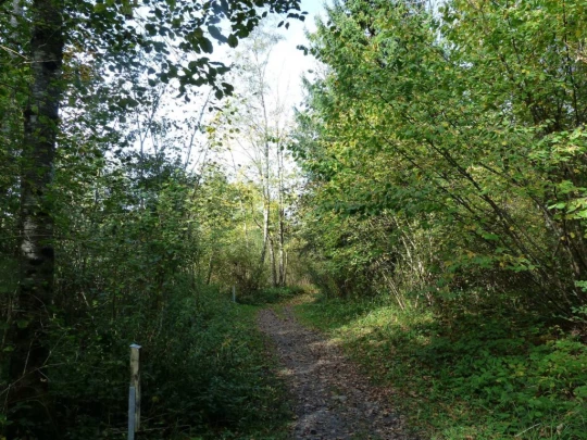 le-pralet-estavannens-189