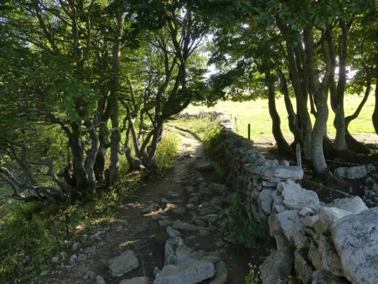 le-soliat-boudry-praz-143