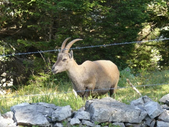 le-soliat-boudry-praz-153