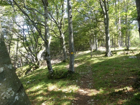 le-soliat-boudry-praz-189