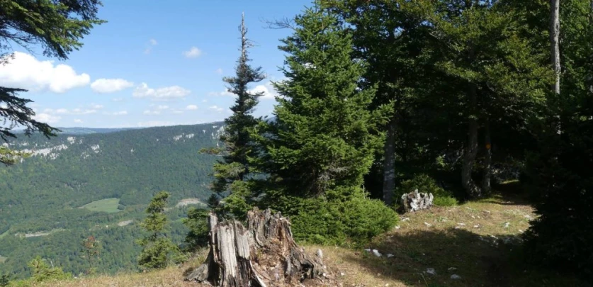 le-soliat-boudry-praz-199