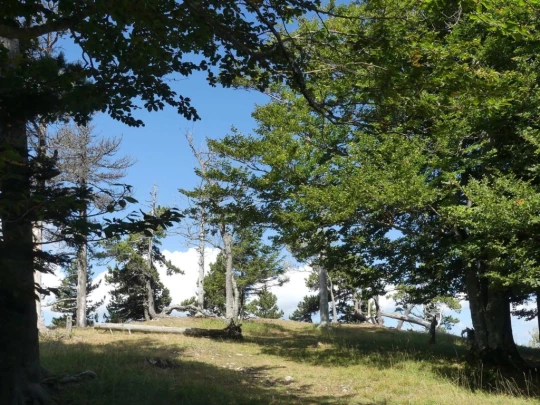 le-soliat-boudry-praz-201