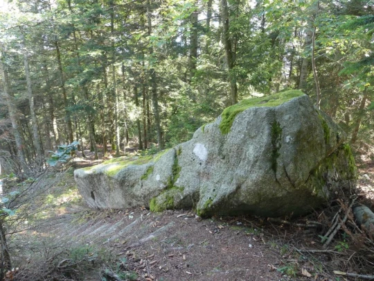 le-soliat-boudry-praz-214