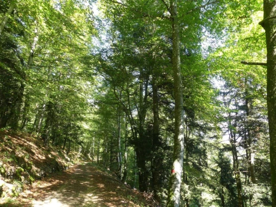 le-soliat-boudry-praz-222