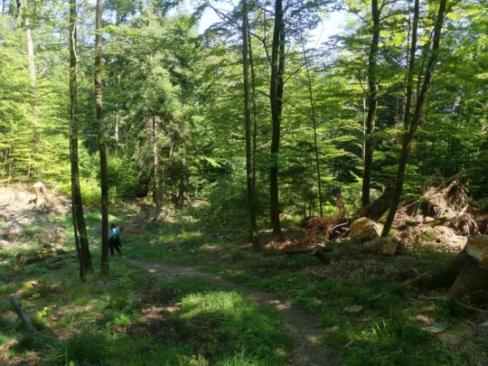 le-soliat-boudry-praz-232