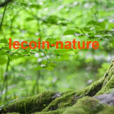 Lecoin-nature