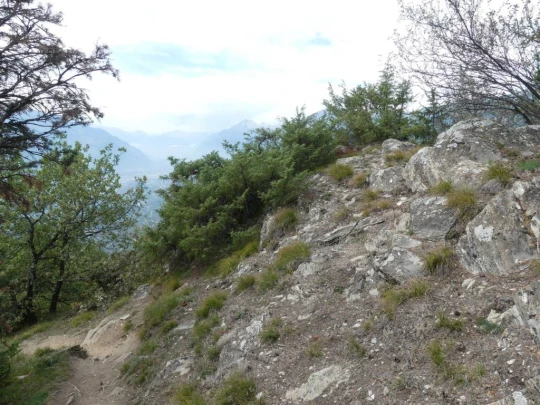 lens-christ-roi-corin-sierre-158