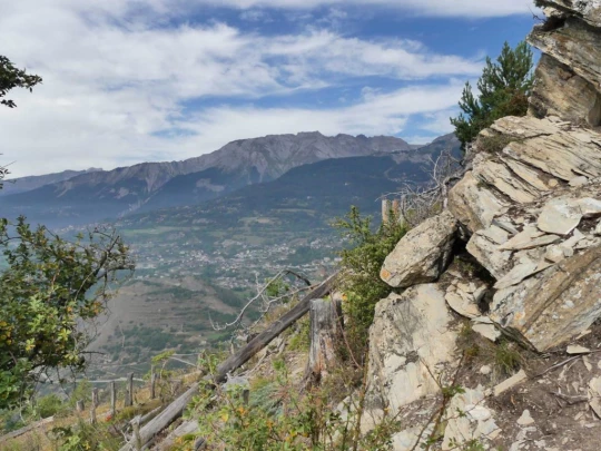 lens-christ-roi-corin-sierre-163