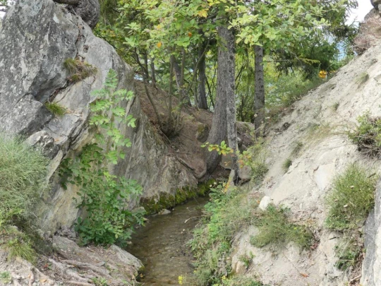 lens-christ-roi-corin-sierre-182