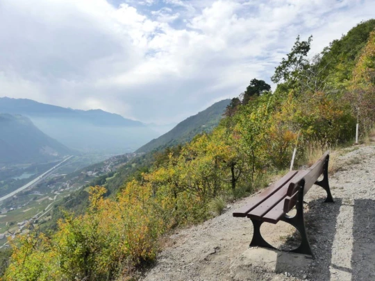 lens-christ-roi-corin-sierre-217