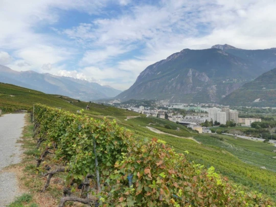 lens-christ-roi-corin-sierre-234