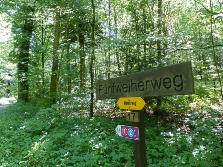 lenzburg-seengen-109