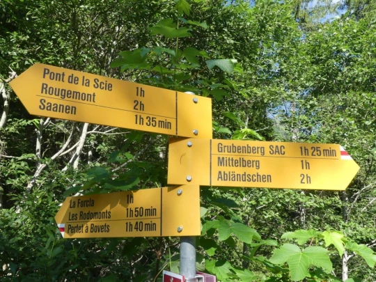 les-adannes-rodomont-rougemont-100