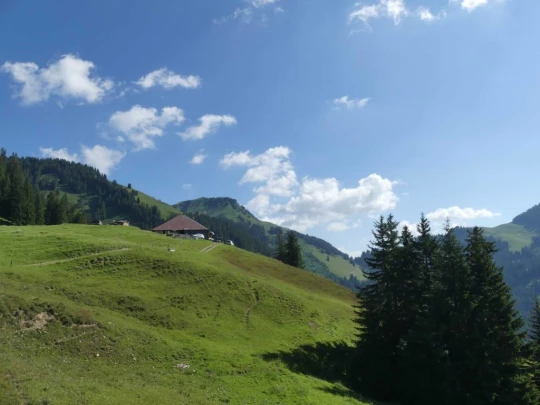 les-adannes-rodomont-rougemont-115